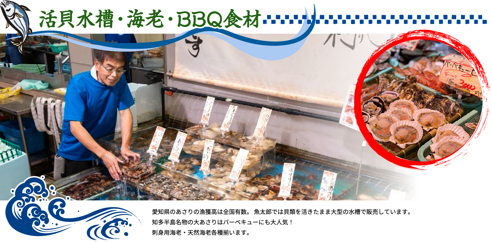 活貝水槽・海老・BBQ食材 愛知県のあさりの漁獲高は全国有数。 魚太郎では貝類を活きたまま大型の水槽で販売しています。知多半島名物の大あさりはバーベキューにも大人気！刺身用海老・天然海老各種揃います。