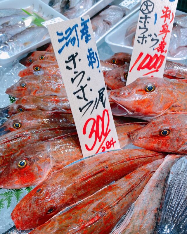 魚太郎ラグーナ蒲郡店（フェスティバルマーケット1F)
鮮魚スタッフの今日のお魚紹介！  2025.01.20
今日の一押しは【ホウボウ！！！！】だぜ！  【刺身もよし（薄切りでポン酢がオススメ）
鍋に入れてほくほく食べるもよし！】  渡り蟹も朝茹で！！最高に美味しい状態です！  とれたて生わかめも入荷してますよ〜  アジフライは店内調理の揚げたてなので食堂でのお食事にプラスでいかががですか？  魚が捌けなくても大丈夫
無料で下処理行います
毎日魚を扱うプロの魚屋にお任せ！  本日も沢山のピカピカの地魚の
活気あふれるスタッフで
皆様のご来店をお待ちしております！  #魚太郎 #魚太郎ラグーナ蒲郡店　
#蒲郡市魚屋　#三河魚屋さん　#鮮魚市場　
#魚市場　#鮮度にこだわる魚屋　#新鮮な地魚が買えるお店
#ホウボウ