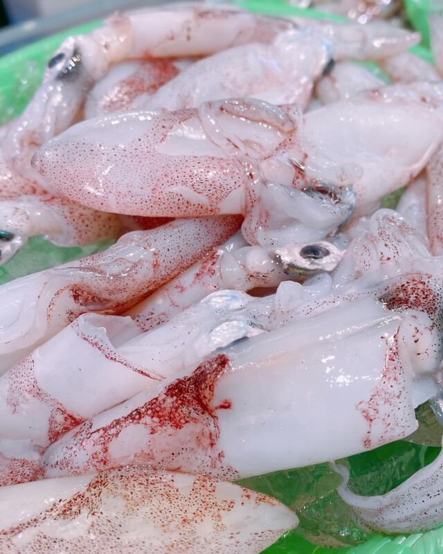 魚太郎ラグーナ蒲郡店（フェスティバルマーケット1F)
鮮魚スタッフの今日のお魚紹介！  2025.1.21
今日の一押しは【小イカ】だぜ！  【刺身ではもちろん、今の寒い時期里芋と煮付けにしたり・アヒージョと何にしても美味しいです‼︎塩茹でで食べるとホタルイカに負けないぐらいイカの旨みが詰まってます‼︎】  【コイカの他にも本日は獲れたてのコウイカも入荷してますよ‼︎
イカは色が鮮明にあるのが鮮度が良い証拠😍
コリコリ食感がたまらない🫢冷凍すると甘味が増してまた美味しくなります‼︎】  魚が捌けなくても大丈夫
無料で下処理行います
毎日魚を扱うプロの魚屋にお任せ！  本日も沢山のピカピカの地魚の
活気あふれるスタッフで
皆様のご来店をお待ちしております！  #魚太郎 #魚太郎ラグーナ蒲郡店　
#蒲郡市魚屋　#三河魚屋さん　#鮮魚市場　
#魚市場　#鮮度にこだわる魚屋　#新鮮な地魚が買えるお店
#コイカ #コウイカ