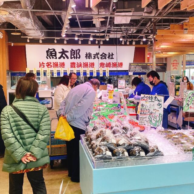 魚太郎ラグーナ蒲郡店（フェスティバルマーケット1F)
鮮魚スタッフの今日のお魚紹介！  2025.2.20  木曜日
今日の一押しは【カガミダイ】だぜ！  【これから旬を迎えるカガミダイ‼️
身は甘みもありしっかりしており食べ応えバッチリです👍特有の銀皮もうまみがありフライ、ソテーなどにもってこいです😛  地元南知多産『わかめ』です😛
葉の部分、茎の部分、めかぶの部分が勢揃いしました‼️こんな機会春に向けてのこの時期以外ありません。少ないとおもいます。是非お買いもとめいただければと思います🙇  あとは先程届いた獲れたての地元産【メヒカリ】！
直送なのでなんといってもチョーー新鮮😱😱
ほかにも地元南知多で獲れた新鮮な魚介類をはじめたくさん用意させていただいております｡
是非ラグーナ蒲郡店　　魚太郎　　にお足運びくださいますよう宜しくお願い致します🙇  魚が捌けなくても大丈夫
無料で下処理行います
毎日魚を扱うプロの魚屋にお任せ！  本日も沢山のピカピカの地魚の
活気あふれるスタッフで
皆様のご来店をお待ちしております！  #魚太郎 #魚太郎ラグーナ蒲郡店　
#蒲郡市魚屋　#三河魚屋さん　#鮮魚市場　
#魚市場　#鮮度にこだわる魚屋　#新鮮な地魚が買えるお店
#メヒカリ　#わかめ　#カガミダイ
#お惣菜